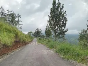 Land for Sale Pundaluoya