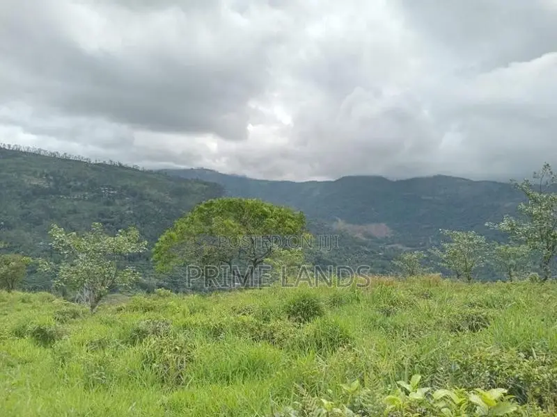 Land for Sale Thalawakele Range View