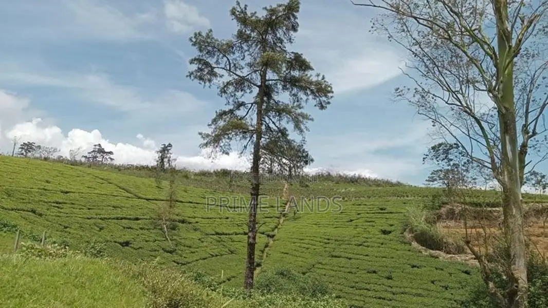 Land for sale Nuwara Eliya Road