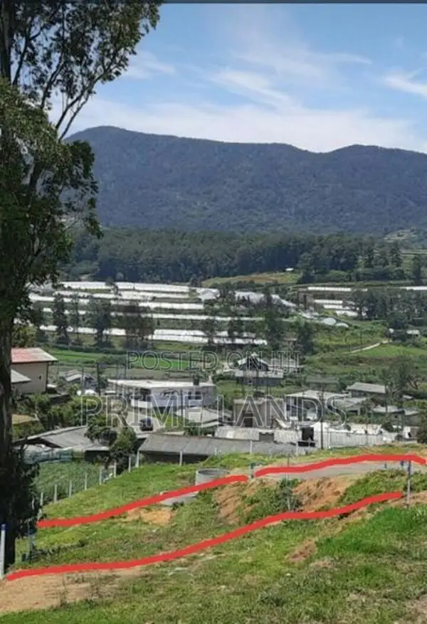 Land for Sale Nuwara Eliya