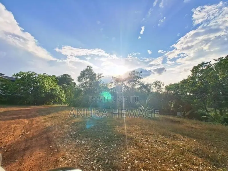 හෝමාගමට 300m ක් දුරින් පිහිටි වටිනා ඉඩමක් විකිණීමට ඇත. (ID : HMGA006S)