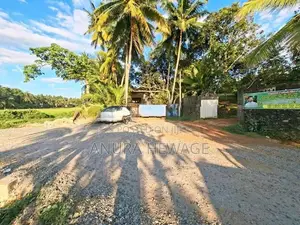 හෝමාගමට 300m ක් දුරින් පිහිටි වටිනා ඉඩමක් විකිණීමට ඇත. (ID : HMGA006S)
