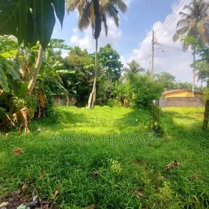 Land for Sale Weera Mawatha, Depanama Pannipitiya. (ID: SRP001)