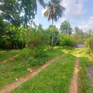 දෙපානම, පන්නිපිටිය, වීර මාවතේ පිහිටි ඉඩමක් විකිණීමට ඇත. (ID: SRP001S)