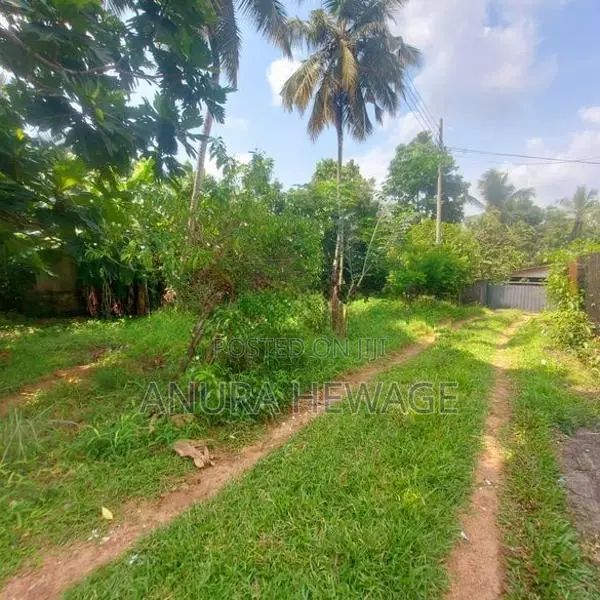 දෙපානම, පන්නිපිටිය, වීර මාවතේ පිහිටි ඉඩමක් විකිණීමට ඇත. (ID: SRP001S)