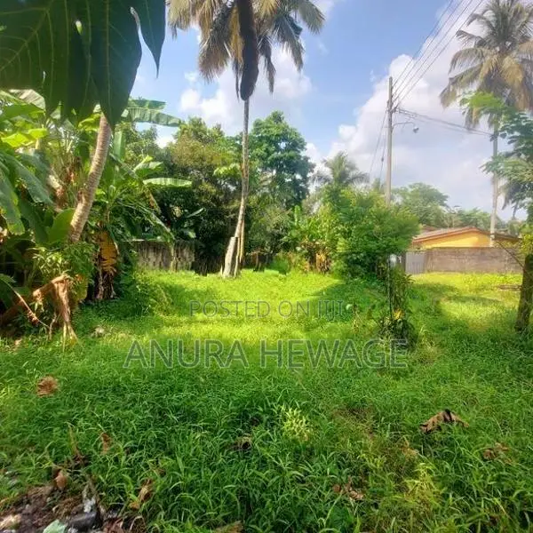 දෙපානම, පන්නිපිටිය, වීර මාවතේ පිහිටි ඉඩමක් විකිණීමට ඇත. (ID: SRP001S)