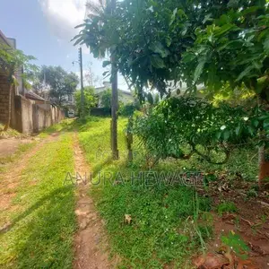 දෙපානම, පන්නිපිටිය, වීර මාවතේ පිහිටි ඉඩමක් විකිණීමට ඇත. (ID: SRP001S)
