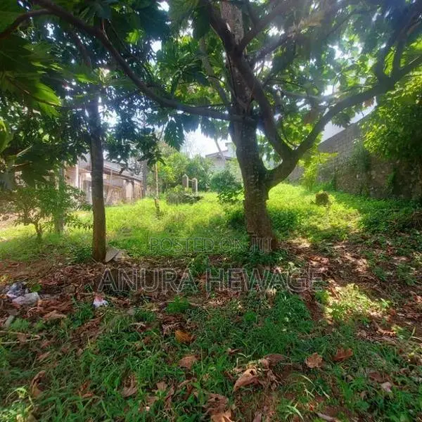 දෙපානම, පන්නිපිටිය, වීර මාවතේ පිහිටි ඉඩමක් විකිණීමට ඇත. (ID: SRP001S)
