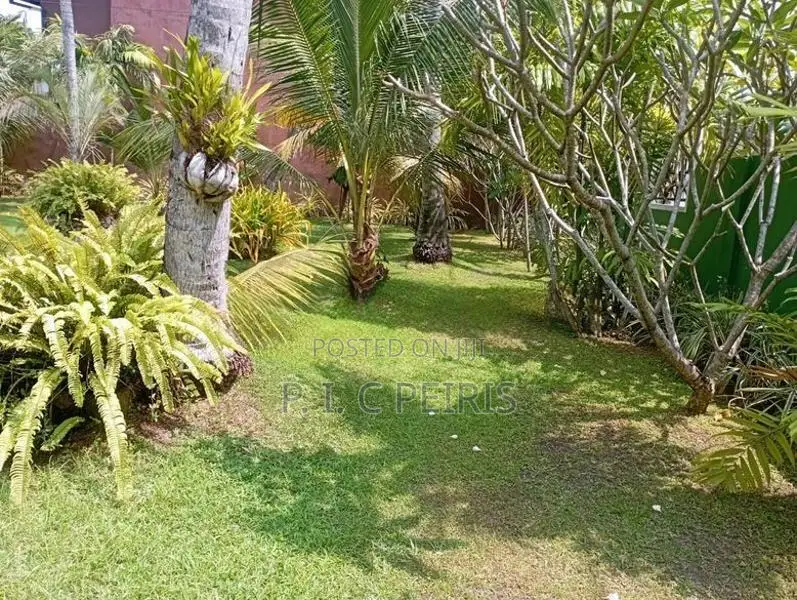 10 Perch Land For Sale Kurana Negombo Gampaha