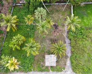 Marawila Land for Sale in Mahawatta Road