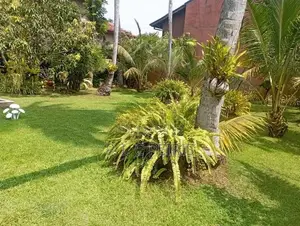 10 Perch Land For Sale Kurana Negombo Gampaha