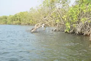 (AFA879) Water Front 23.5 Acre Land Sale At Chilaw