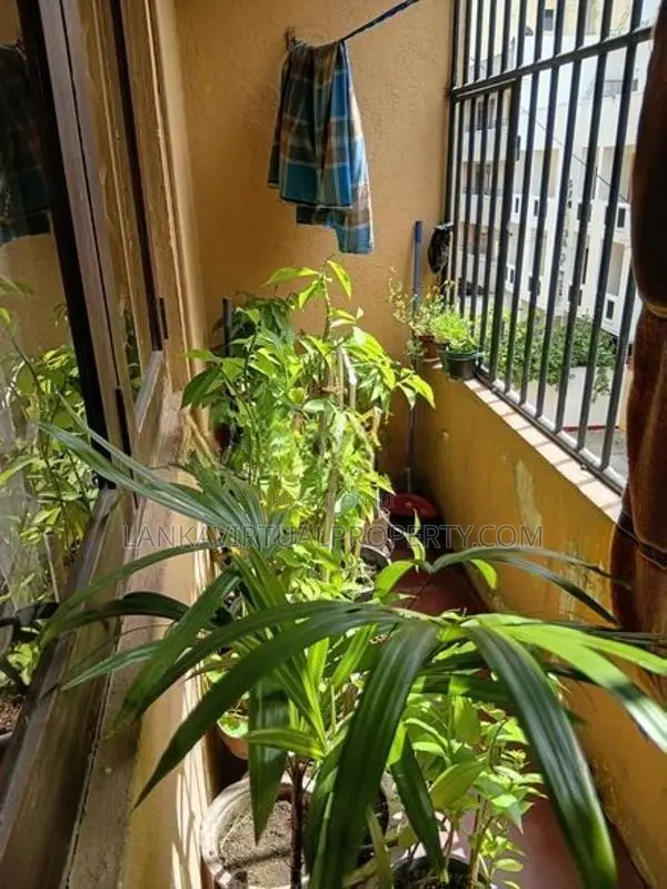 Wellawatte Hampden Lane 2 Bedrooms Apartment for Sale