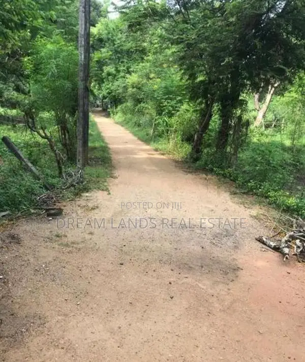Kataragama Land for Sale ( Reference No : RS - 541 )
