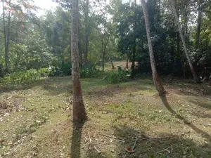 Kasbawa Gonapala Land for Sale ( Rs - 543 )