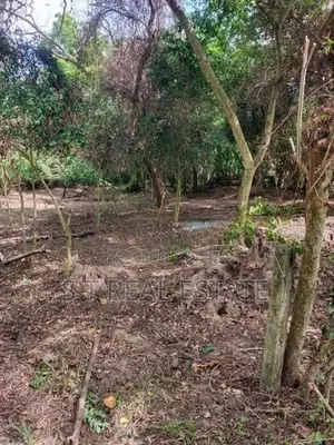 63.10P Bare Land For Sale In Goyambokka, Tangalle