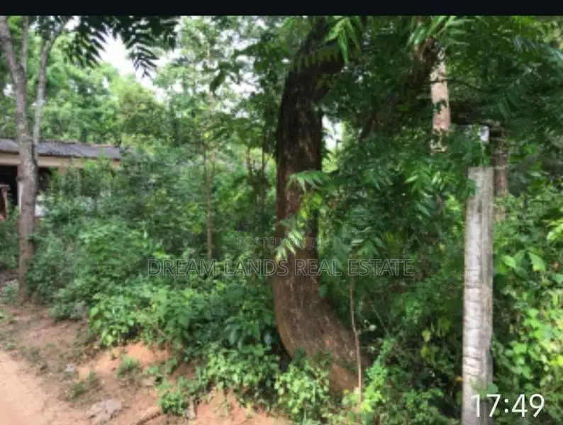 Kataragama Land for Sale ( Reference No : RS - 541 )