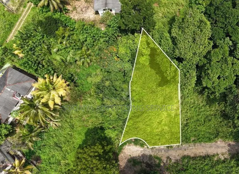 Kandy Land for Sale in Angunawala