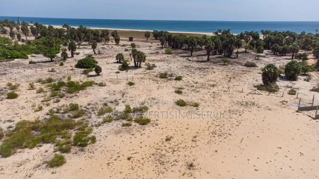 Jaffna Land for Sale in Vettilaikerny
