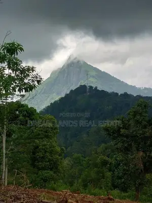 Kandy Kadugannawa Land for Sale ( Reference No : RS - 542 )