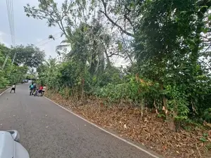 හෝකන්දර, හොරහේන පාරේ පිහිටි ඉඩමක් විකිණීමට ඇත. (ID: HKND005S)