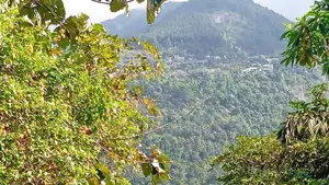 පර්වස් 89 ගම්මිරිස් වගාව ඉඩමක් විකිණීමට තෙල්දෙණිය