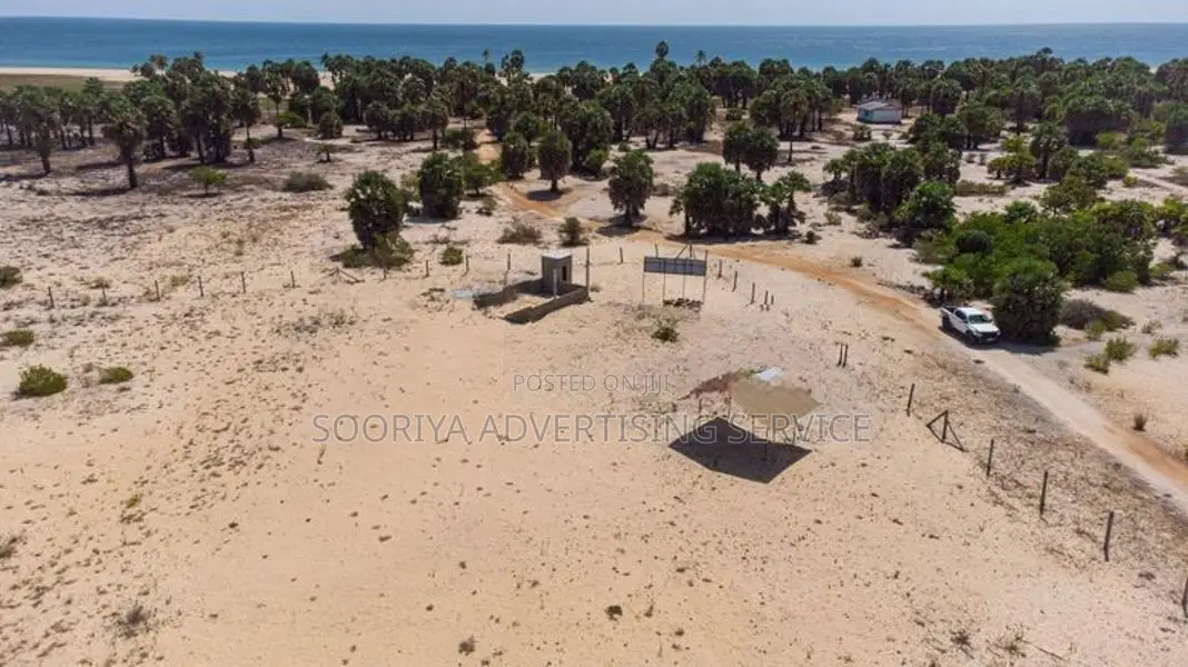 Jaffna Land for Sale in Vettilaikerny