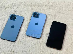 Apple iPhone 12 Pro Max (Used)