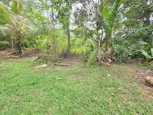 37 Perch / Land For Sale in Payagala Pambe