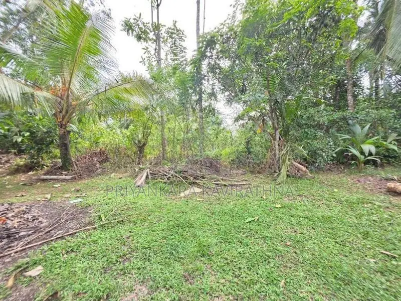 37 Perch / Land For Sale in Payagala Pambe