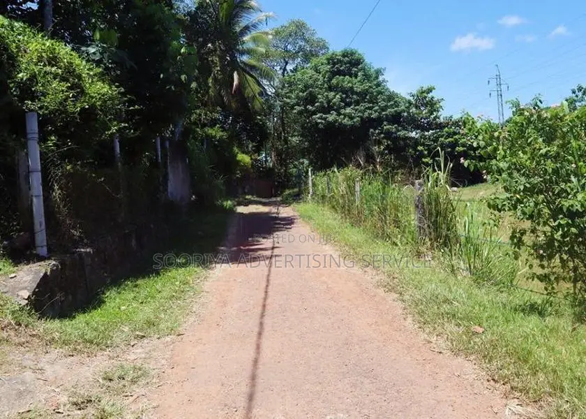 Galle Land for Sale in Anangoda