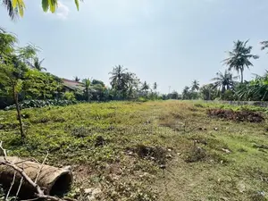 (AFA905) 131 P Land at Panadura