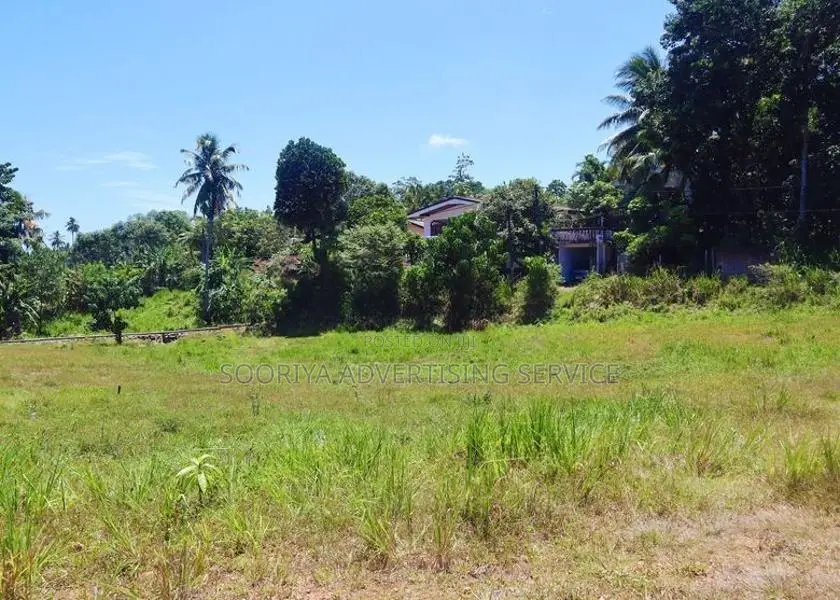 Galle Land for Sale in Anangoda