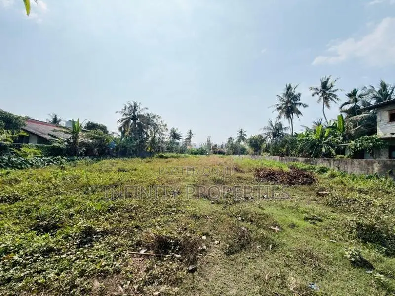 (AFA905) 131 P Land at Panadura