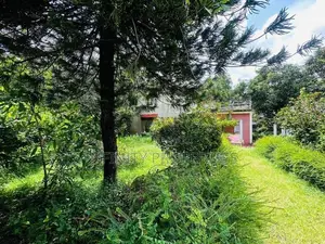 (AFA901) 65 P Land Sale at 400 M Welampitiya Junction