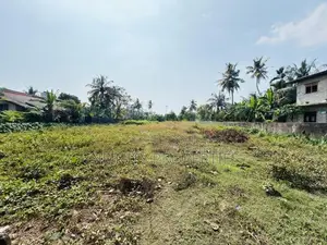 (AFA905) 131 P Land at Panadura