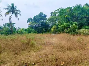 කඩවත – ඉහළ බියන්විල වටිනා ඉඩමක්