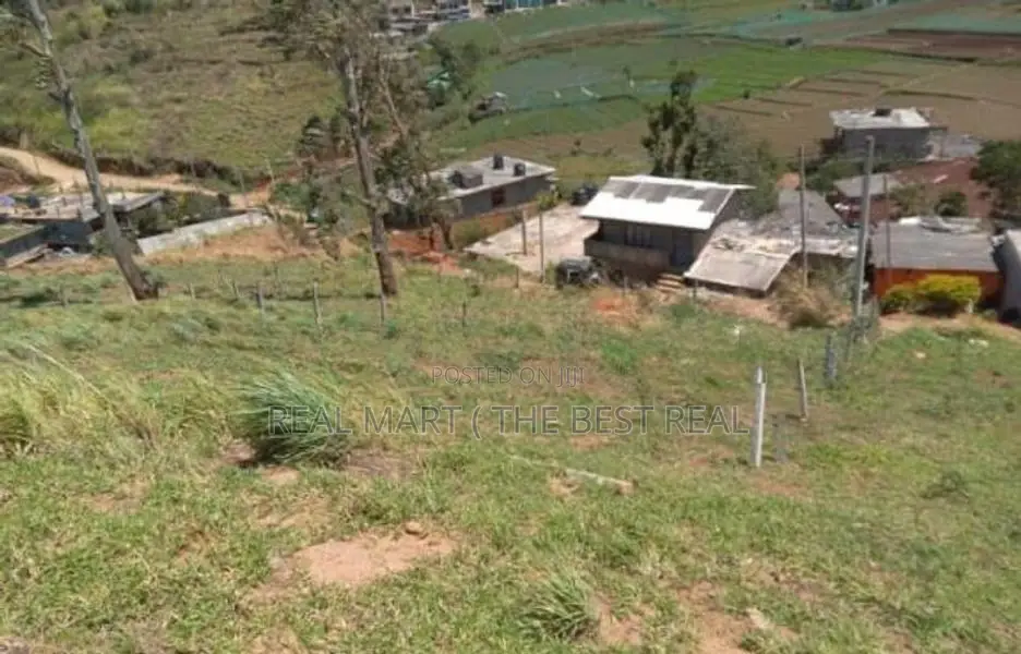 Nuwara Eliya : 15 perches Land for Sale at Padinawala