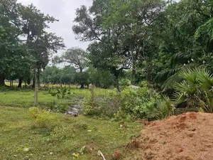 Land for Sale in Vavuniya