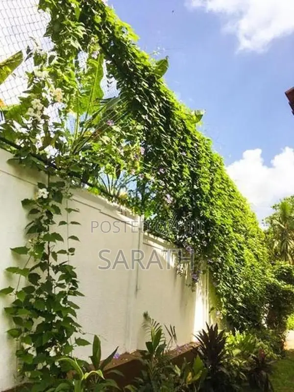 4 Bed With Brand New House In Kalalgoda