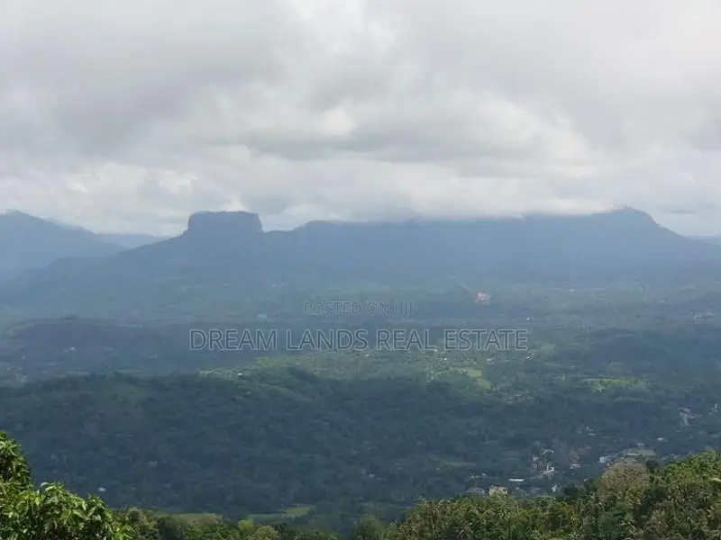 Ella Land for Sale