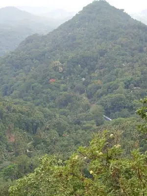 Ella Land for Sale