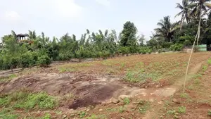 Gonapola Land for Sale in Kumbuka