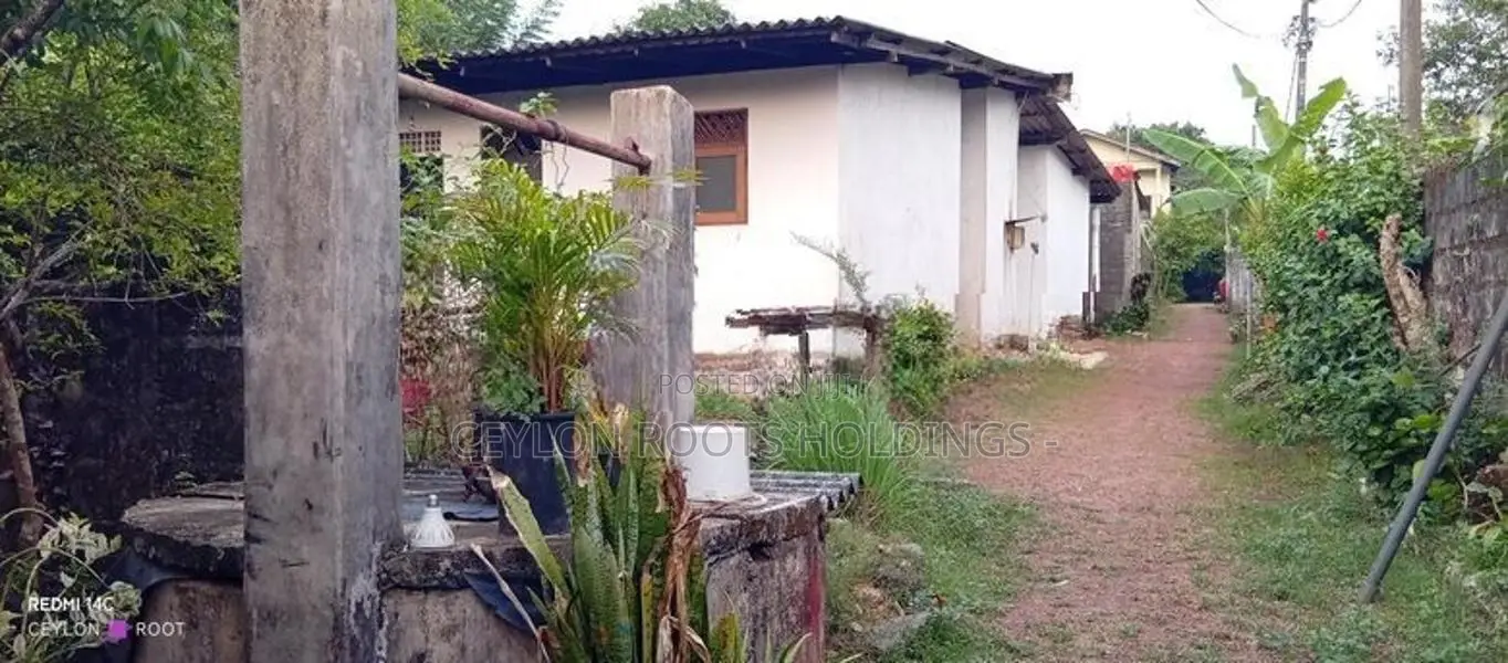 A Long Piece of Land (දිග් අතට පිහිටා ඇති ඉඩමක්) For Sale in Wattegeda