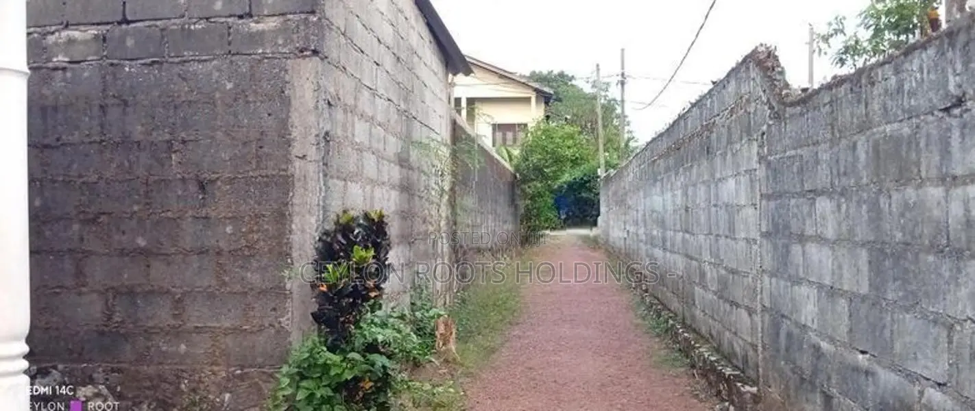 A Long Piece of Land (දිග් අතට පිහිටා ඇති ඉඩමක්) For Sale in Wattegeda