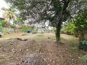 43.20P Paddy Field Facing Bare Land For Sale In Korathota