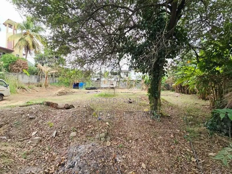 43.20P Paddy Field Facing Bare Land For Sale In Korathota