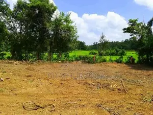 Paddy Field View Land for Sale Kadawatha කුඹුරු මායිම් ඉඩම්