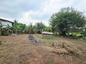 43.20P Paddy Field Facing Bare Land For Sale In Korathota