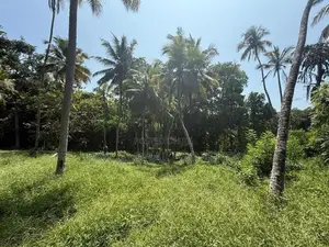 Land for Sale in Galle